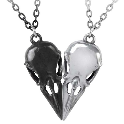 Coeur Crane Bird Skull Necklace Set