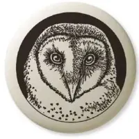 Barn Owl Pathfinder Animal Totem Porcelain Necklace