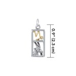 Capricorn Silver and Gold Charm