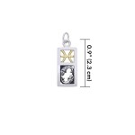 Pisces Silver and Gold Charm