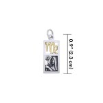 Virgo Silver and Gold Charm