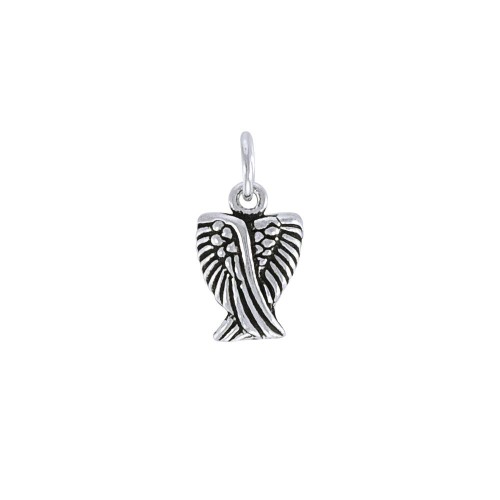 Angel Wings Charm