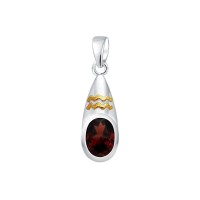 Aquarius Zodiac Sign Pendant with Garnet