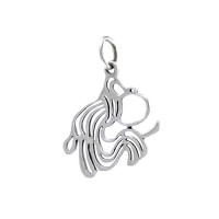 Aquarius Zodiac Symbol Charm