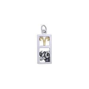 Aries Silver and Gold Charm