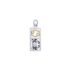 Cancer Silver and Gold Charm