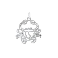 Cancer Zodiac Symbol Charm