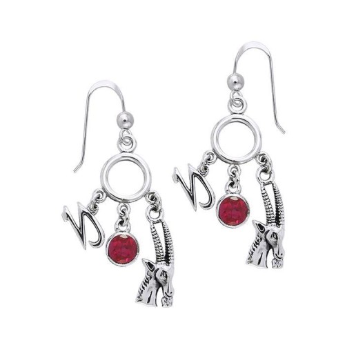 Capricorn Astrology Earrings with Gems