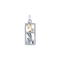 Capricorn Silver and Gold Charm