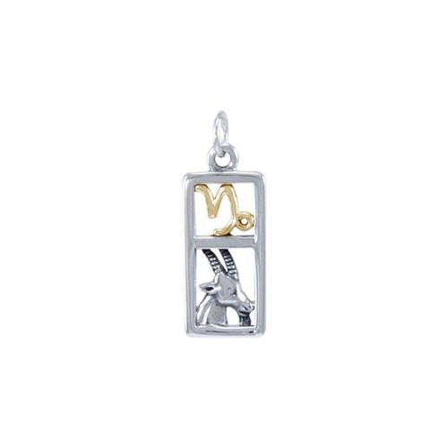 Capricorn Silver and Gold Charm