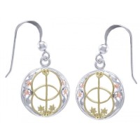 Chalice Well Earrings