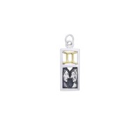 Gemini Silver and Gold Charm