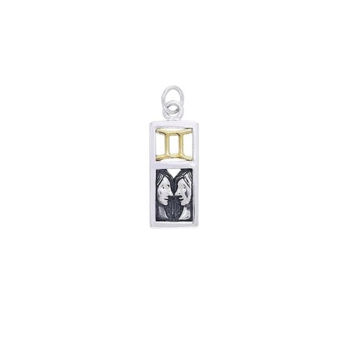 Gemini Silver and Gold Charm