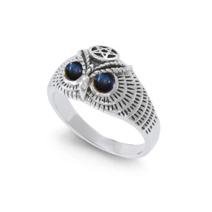 Owl with Labradorite Eyes and Star Ring