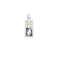 Pisces Silver and Gold Charm