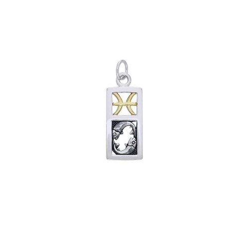 Pisces Silver and Gold Charm